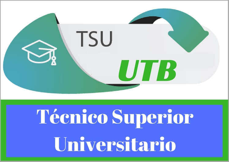 tsu